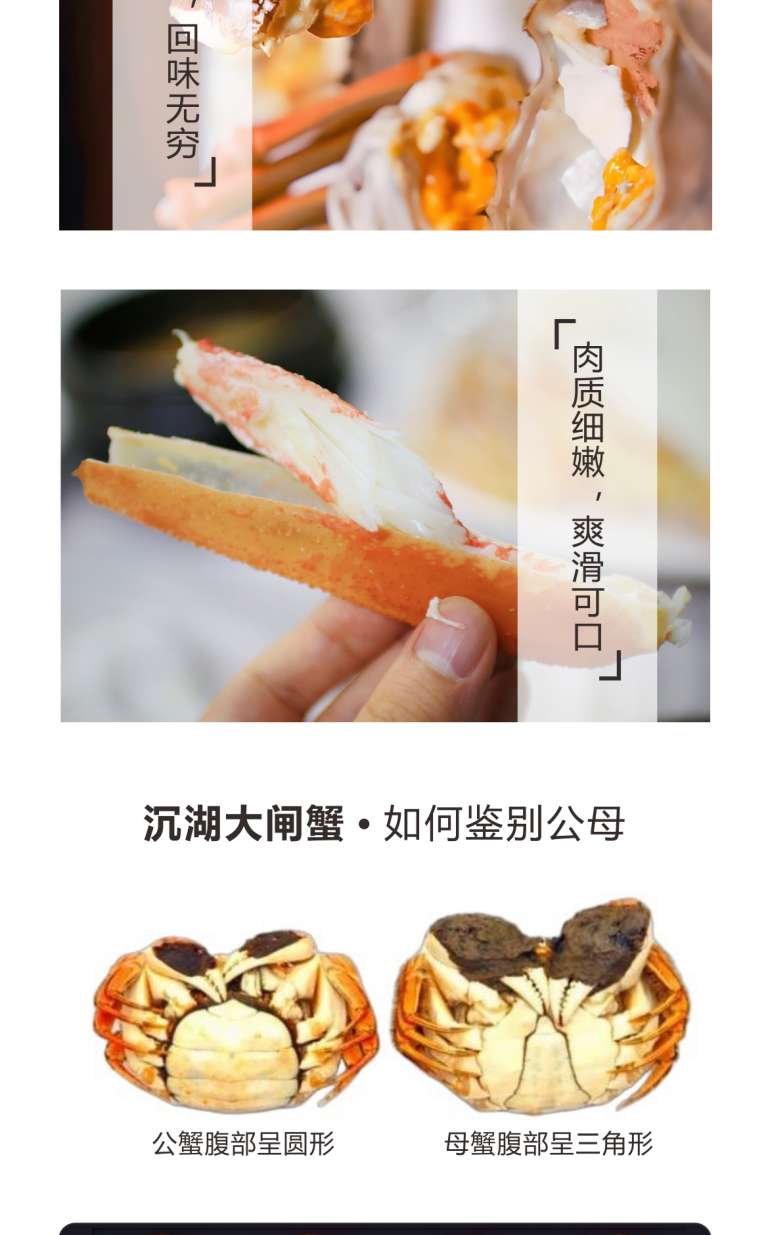 商品详情4